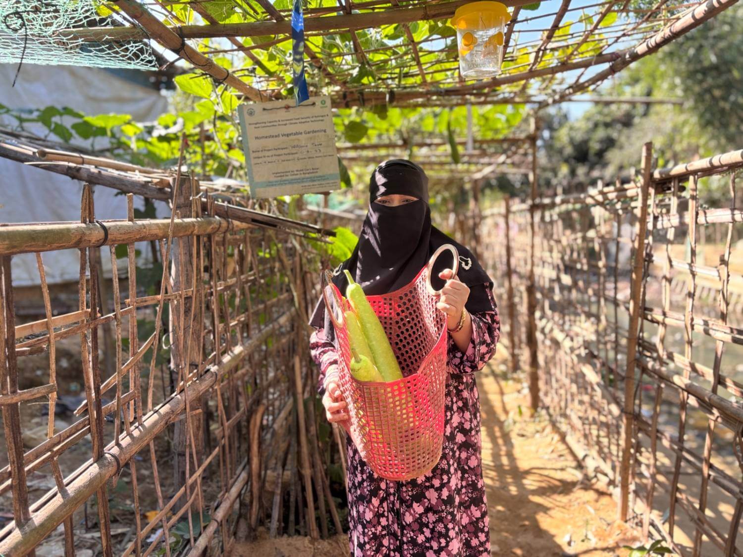 Harvesting Hope Project Cox’s Bazar Harvesting Hope Project Cox’s Bazar